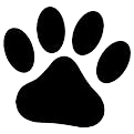 paws-removebg-preview